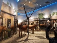 城市歷史文化展覽館室內(nèi)展示效果-1435-07